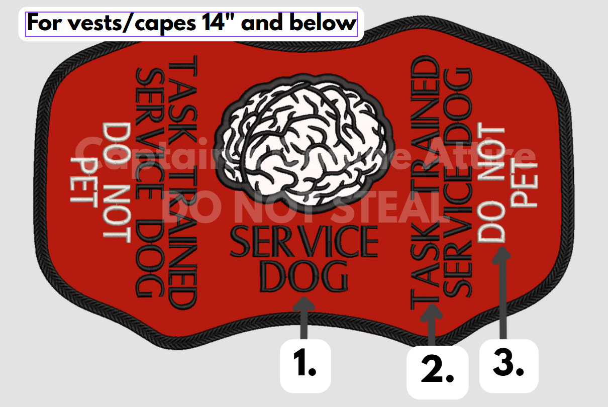 Professional Brain Customizations