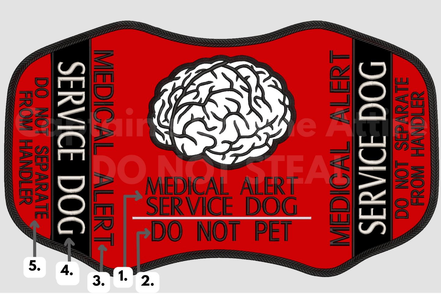 Professional Brain Customizations