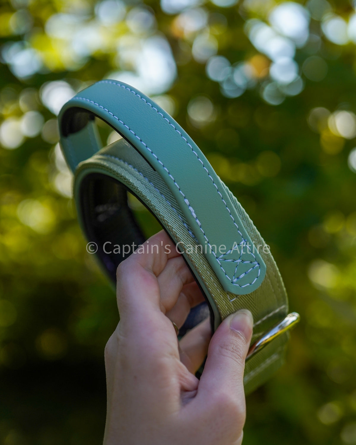 Light Green Handle Collar 14-16"