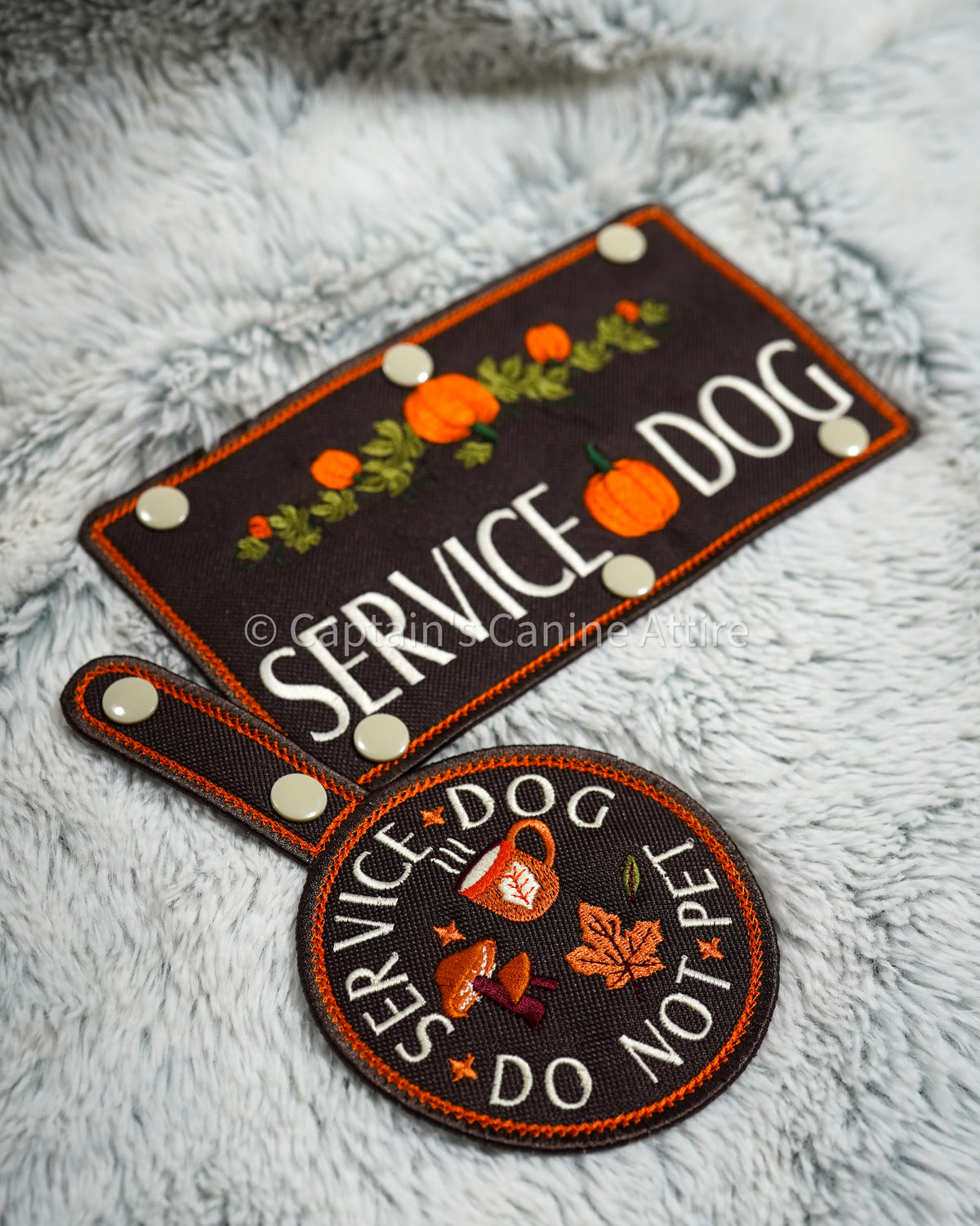 Cozy Autumn Patch Tab and Leash Wrap Set