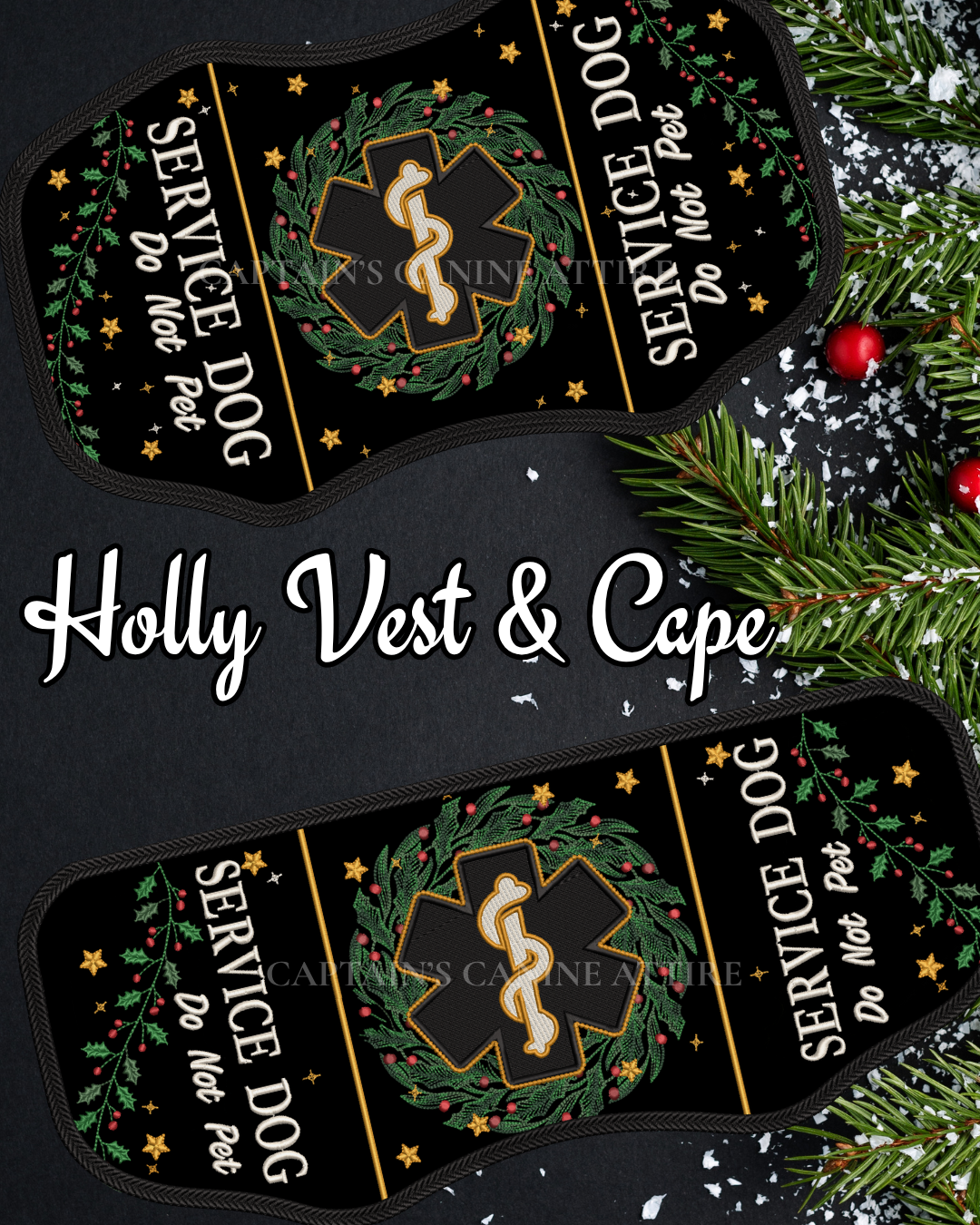 PRE-ORDER Seraphim, Holly, and Professional