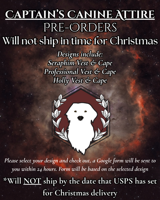 **Does NOT Ship in time for Christmas** PRE-ORDER Seraphim, Holly, and Professional