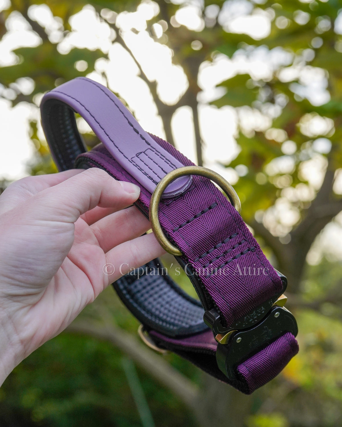 16.5-20.5” Plum and Mauve Handle Collar *Discounted*