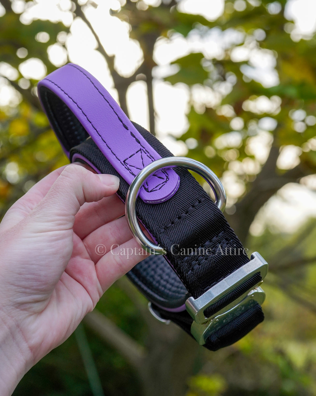 15-19” Black and Amethyst Handle Collar
